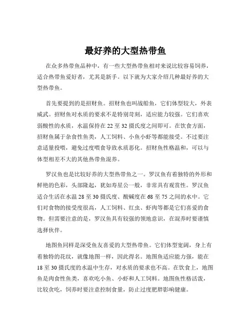 最好养的大型热带鱼