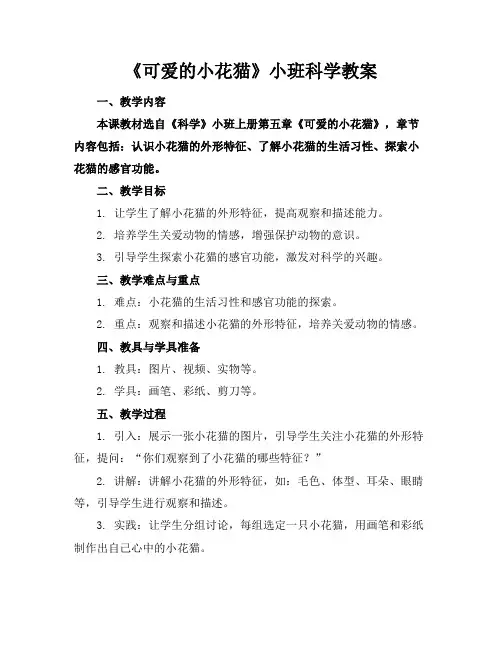 《可爱的小花猫》小班科学教案