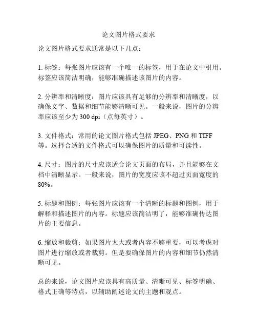 论文图片格式要求