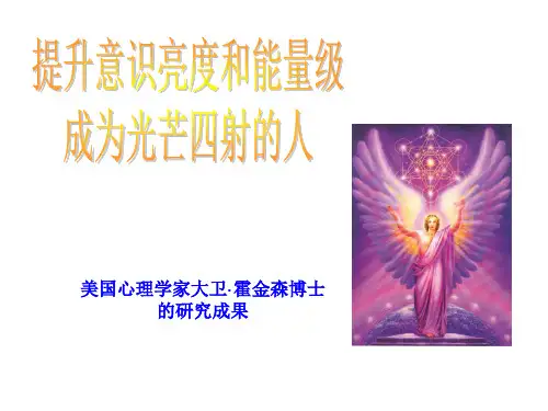 霍金斯的能量层级简约版