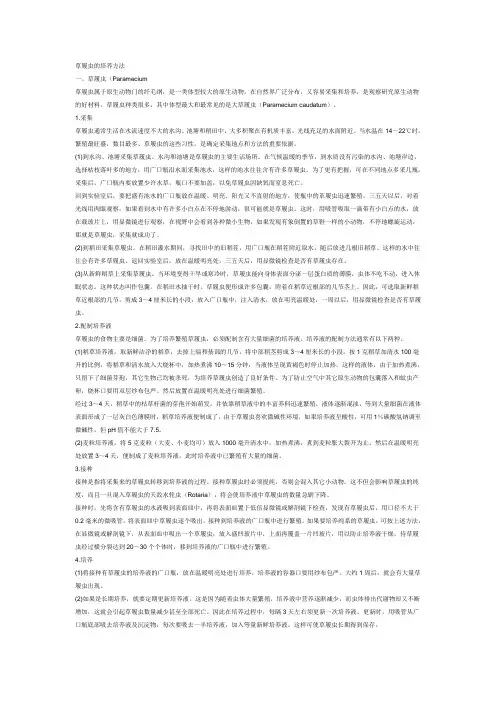 草履虫的培养方法