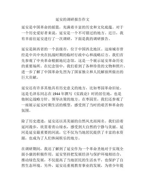 延安的调研报告作文