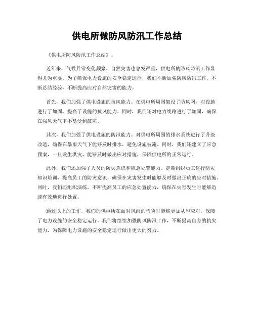 供电所做防风防汛工作总结