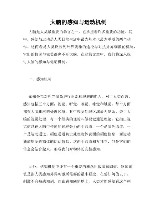 大脑的感知与运动机制