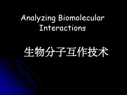 spr生物分子互作技术