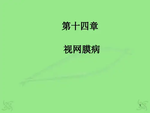 视网膜病PPT课件