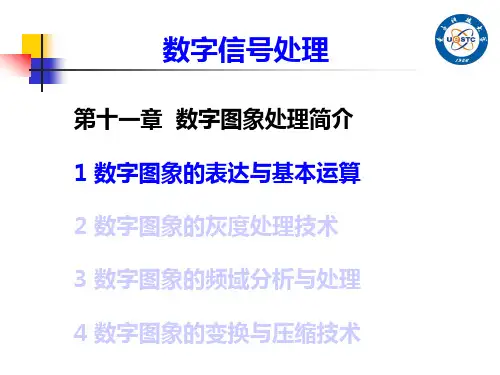 数字信号处理DSP11-1