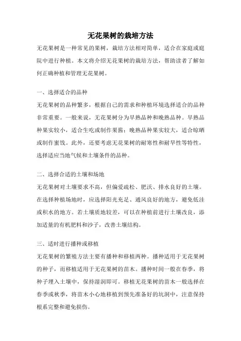 无花果树的栽培方法