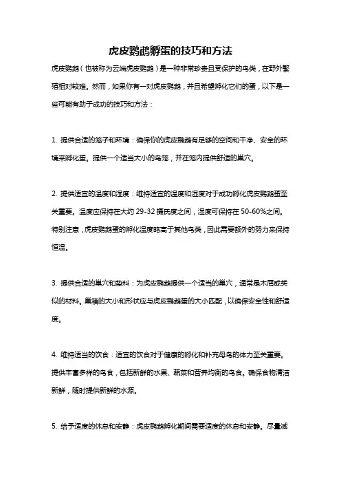 虎皮鹦鹉孵蛋的技巧和方法