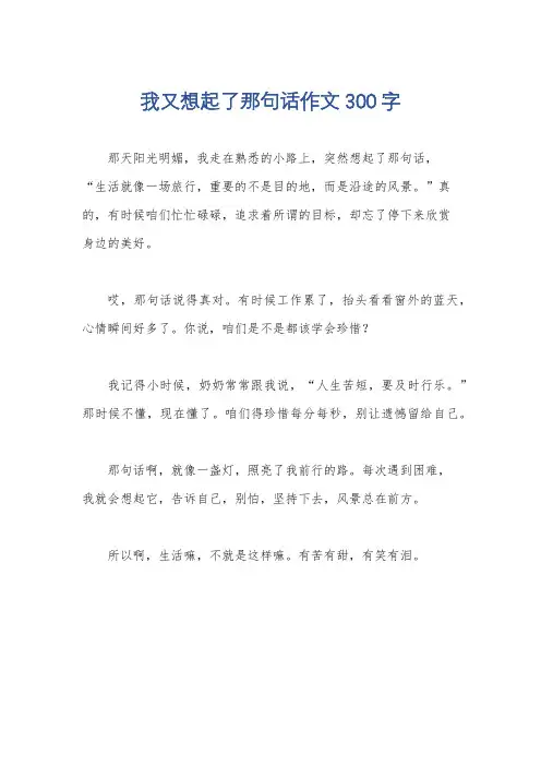 我又想起了那句话作文300字