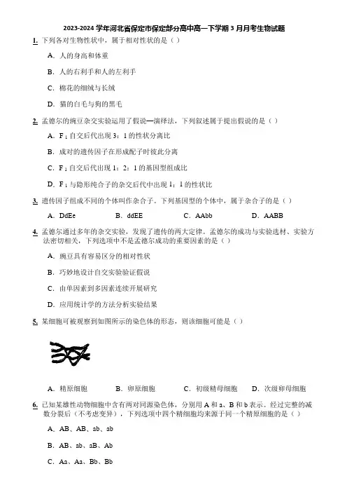 2023-2024学年河北省保定市保定部分高中高一下学期3月月考生物试题