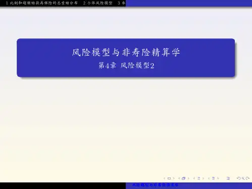风险模型与非寿险精算学 (32)