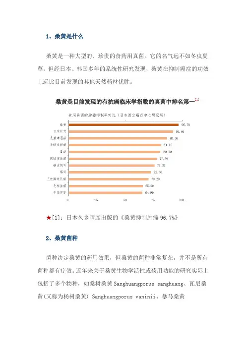 桑黄是什么