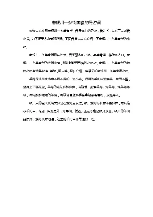 老银川一条街美食的导游词