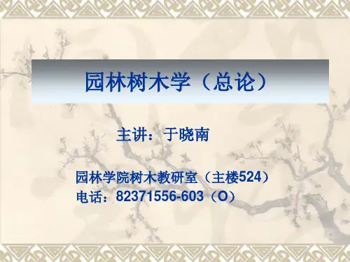北京林业大学树木学课件绪论.ppt