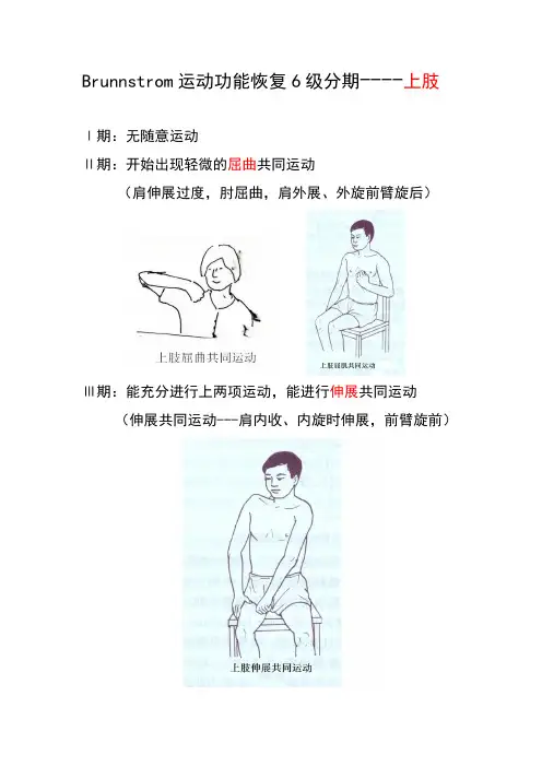 图文版---Brunnstrom分期---上肢