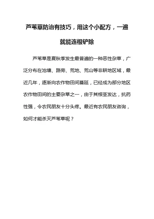 芦苇草防治有技巧，用这个小配方，一遍就能连根铲除