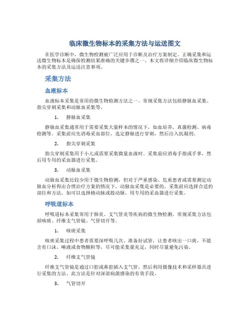 临床微生物标本的采集方法与运送图文