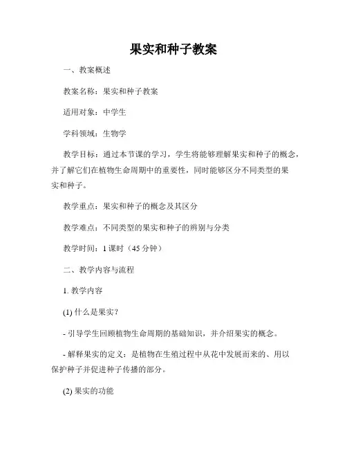 果实和种子教案