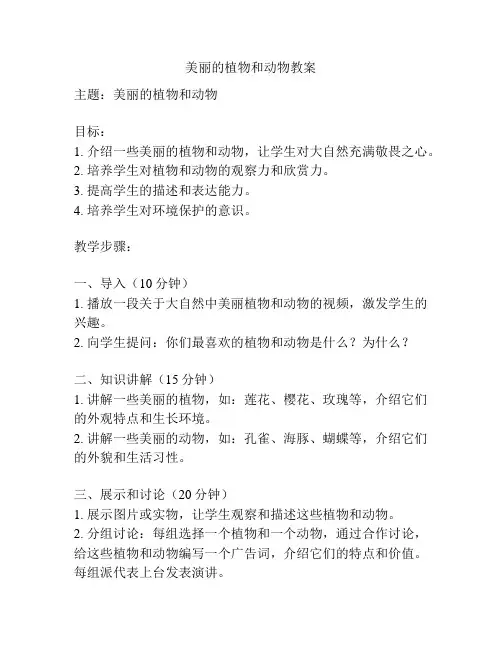 美丽的植物和动物教案