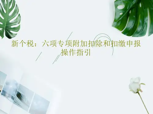 新个税：六项专项附加扣除和扣缴申报操作指引PPT文档69页
