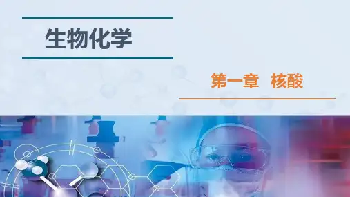 《生物化学》-第一章