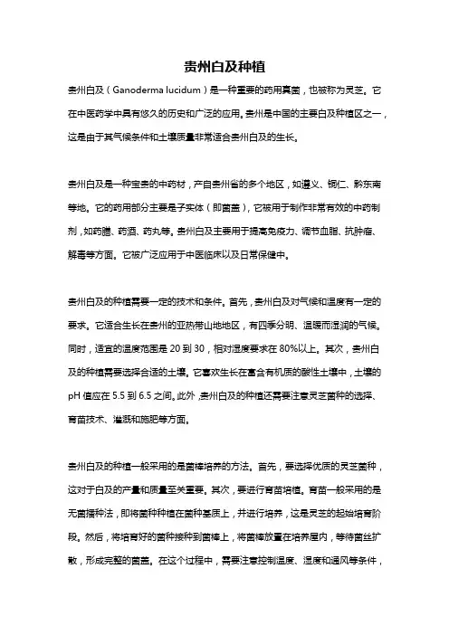贵州白及种植