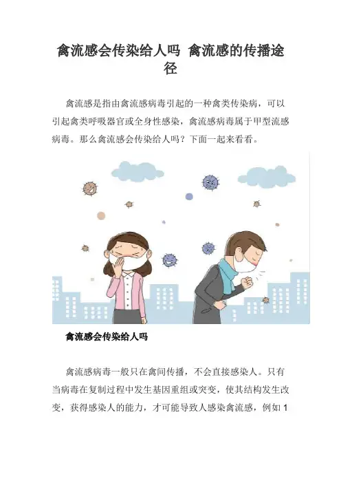 禽流感会传染给人吗 禽流感的传播途径