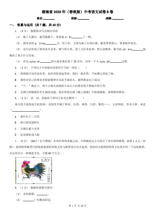湖南省2020年(春秋版)中考语文试卷B卷
