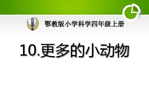 《更多的小动物》寻访校园里的动植物PPT课件2【精品推荐课件】