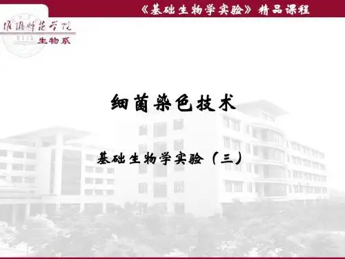 微生物学实验-细菌染色
