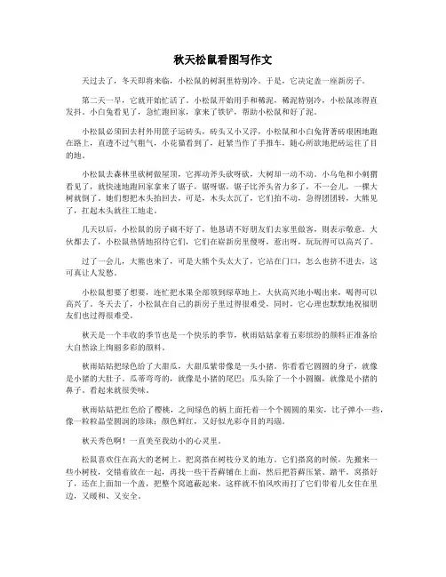 秋天松鼠看图写作文