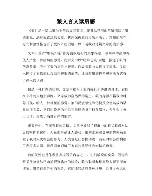 狼文言文读后感