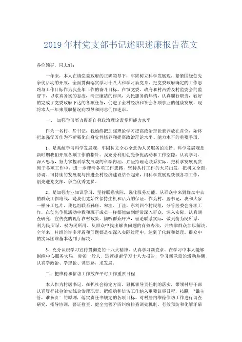 总结报告-2019年村党支部书记述职述廉报告范文 精品