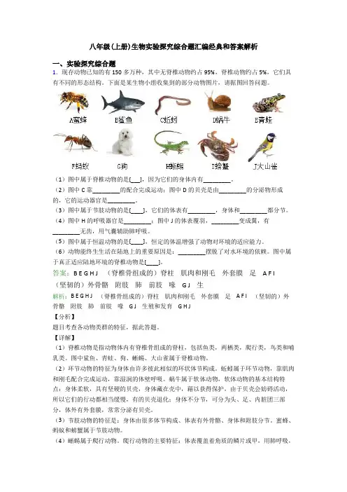 八年级(上册)生物实验探究综合题汇编经典和答案解析