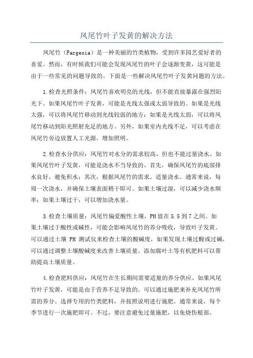 凤尾竹叶子发黄的解决方法