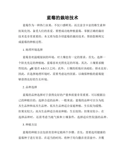 蓝莓的栽培技术