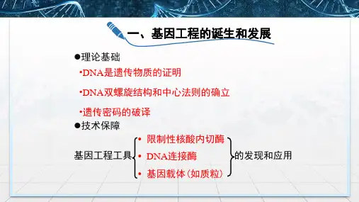 生物人教版(2019)选择性必修3 3.2基因工程的基本操作程序(共81张ppt)