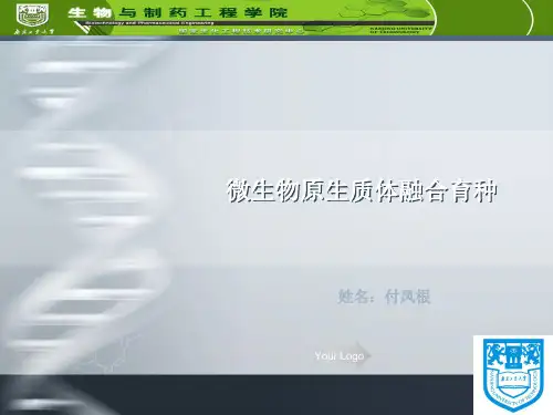 微生物原生质体融合育种精品PPT课件