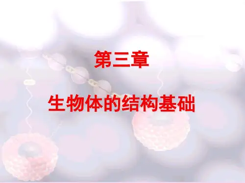 普通生物学：第3章 细胞的基本形态与功能