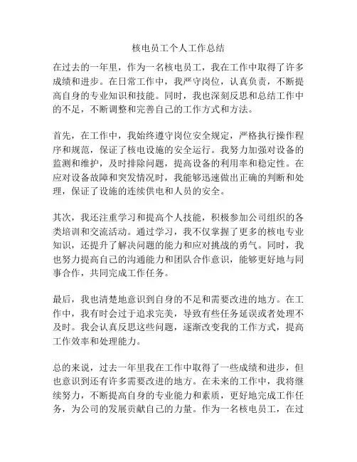 核电员工个人工作总结