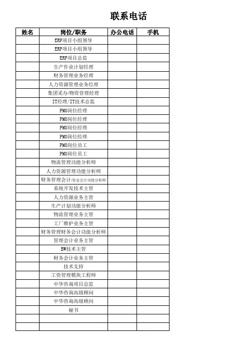 ERP项目小组成员与顾问联系清单