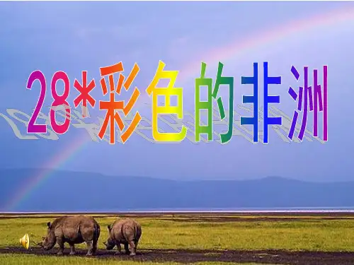 28彩色的非洲  (恢复)PPT课件