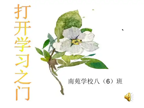 主题班会——爱学习