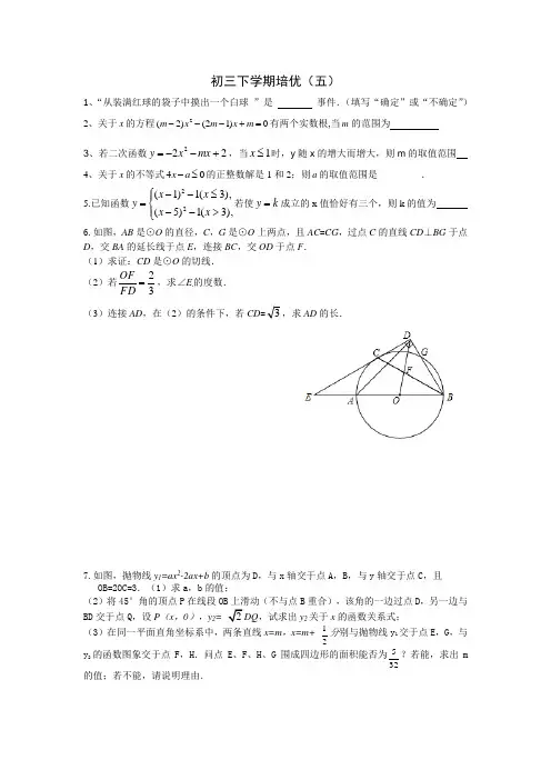 人教版初中数学中考数学初三下学期培优(五)