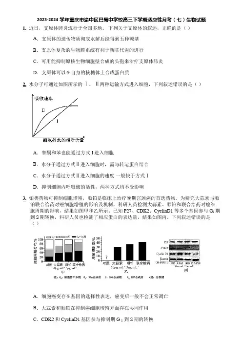 2023-2024学年重庆市渝中区巴蜀中学校高三下学期适应性月考(七)生物试题