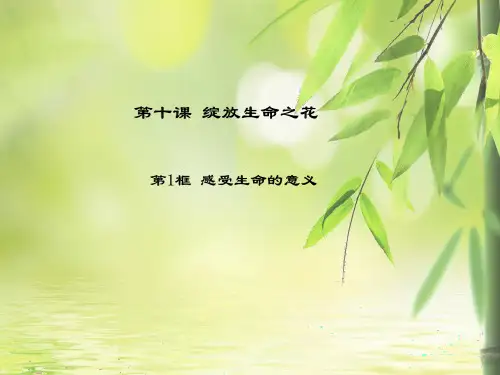 《感受生命的意义》精品课件1
