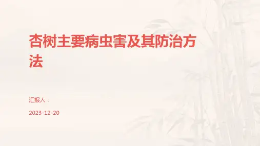 杏树主要病虫害及其防治方法