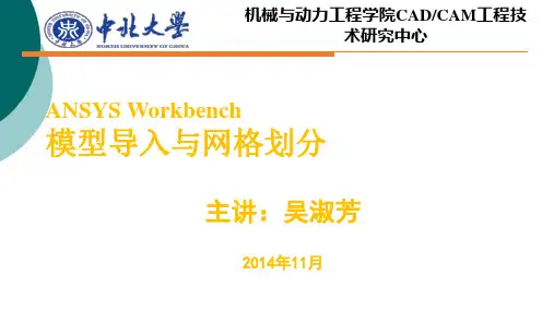 ANSYS Workbench 模型导入与网格划分(吴淑芳)