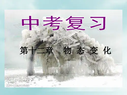 九年级物理(沪科版)物态变化中考复习课件 (共20张ppt)